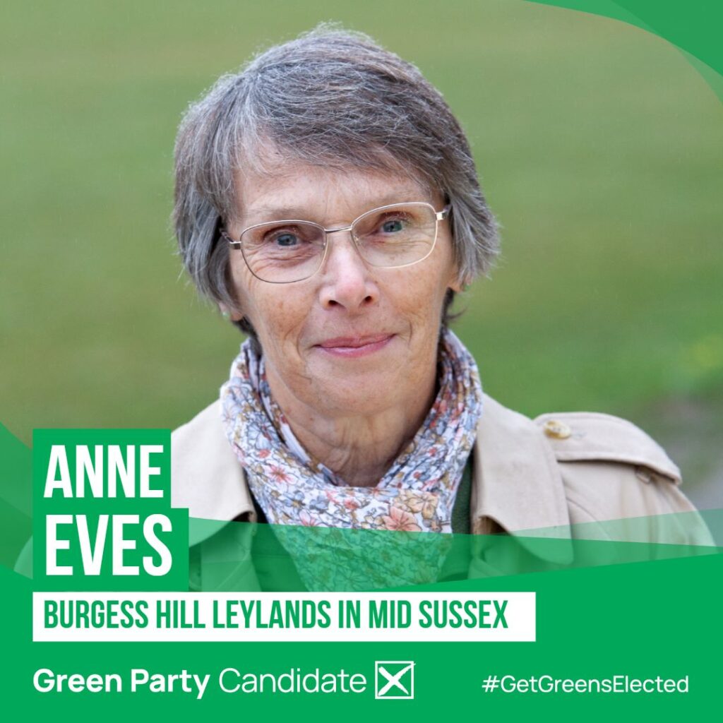 Anne Eves Candidacy