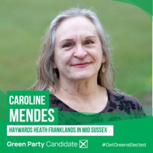 Caroline Mendes Candidacy