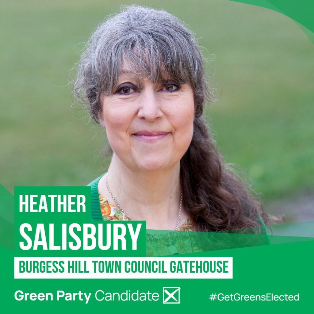 Heather Salisbury Candidacy