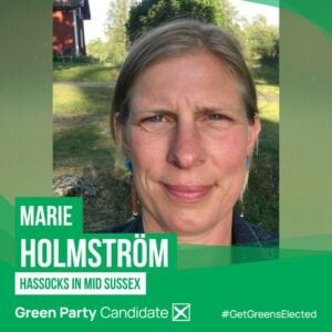 Marie Holmstrom Candidacy