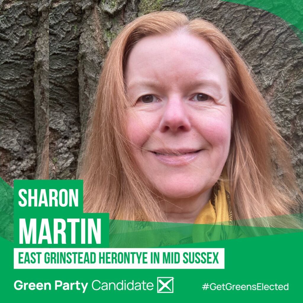 Sharon Martin Candidacy