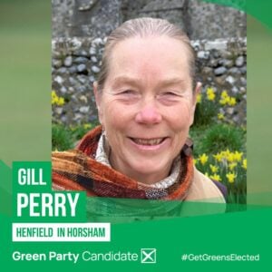 Gill Perry Candidacy