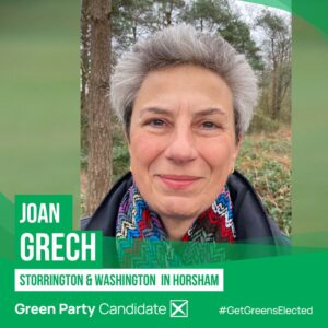 Joan Grech Candidacy